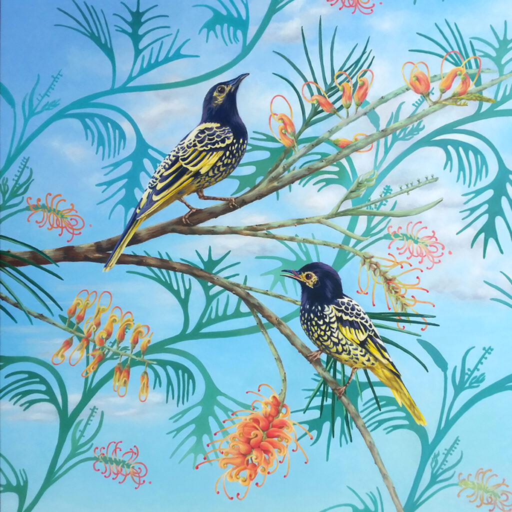 Regent Honey Eater commission. These rare birds were found in the local area where Grevilleas grow wild.